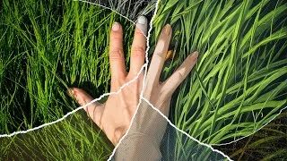 Miniature : Science says Gamers will never need to touch grass again