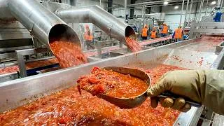Miniature : Comment c'est fait : 12 000 000 de tonnes de tomates transformées en ketchup !
