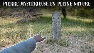 Miniature : Le menhir de l’Allevan : simple pierre ou vrai mystère ?