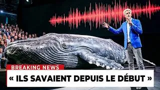 Miniature : L’IA A Enfin Décodé Le Langage Des Baleines — Le Premier Message A Choqué Les Scientifiques