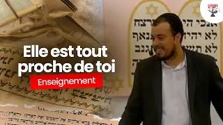 Miniature : Elle est tout proche de toi, dans ta bouche et dans ton coeur | Steven
