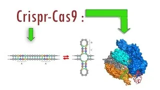Miniature : Crispr et Cas9 : Une révolution génétique # Science Nouvelle 1