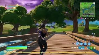Miniature : Des balles AL-LU-CI-NAN-TES pour ce top 1 || 14 kills|| Fortnite Battle Royale
