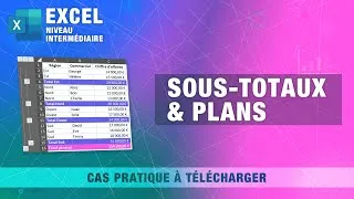 Miniature : Maîtriser les sous-totaux et les plans dans Excel