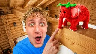 Miniature : Celui qui Trouve le plus de Brainrots Gagne !