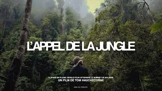 Miniature : 8 JOURS pour atteindre le SOMMET de la JUNGLE (documentaire)