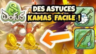 Miniature : DOFUS UNITY : AVENTURE SOLO ET MONOCOMPTE ! J'ai enfin tout mes metiers de recolte 200 ! #dofus
