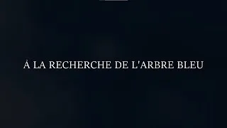 Miniature : À la Recherche de l'Arbre Bleu - Bande Annonce (Ep 1-2) [VF]