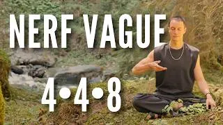 Miniature : La technique de respiration que ton nerf vague attendait