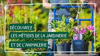 Miniature : Les coulisses des métiers de la jardinerie et de l'animalerie avec @lesjardineriesetanimalerie