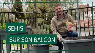 Miniature : Jardinage en ville : Réussir ses premiers semis sur son balcon