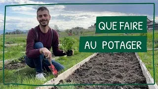Miniature : Les Saints de glace arrivent : ce que vous devez faire au potager