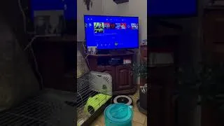 Miniature : Qualités et défauts de la ps4