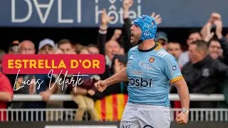 Miniature : Estrella d'Or - Lucas Velarte