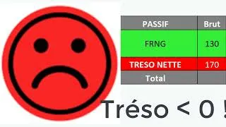 Miniature : ANAFI 2.2   analyse FRNG, BFR, Tréso Nette