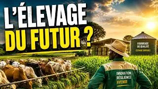 Miniature : Ce que les éleveurs burkinabè ont compris avant beaucoup d'autres