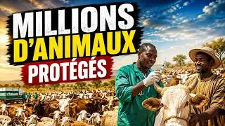 Miniature : Comment le Burkina Faso protège des millions d'animaux chaque année