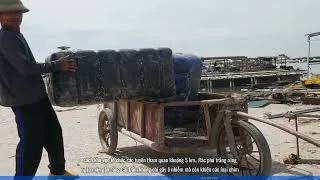 Miniature : Rác từ lồng bè đe dọa sinh thái vịnh Hạ Long