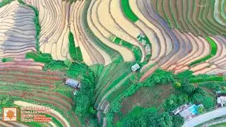 Miniature : Séjour bien être, sejour yoga, méditation et voyage zen au Vietnam | Agence locale Tonkin Voyage