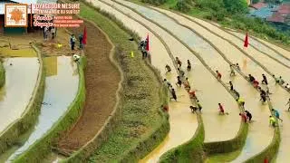 Miniature : 🇻🇳 La course la plus incroyable du Vietnam au cœur des rizières de Mu Cang Chai