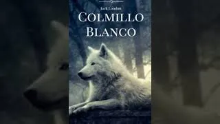 Miniature : Résumé du livre Croc-Blanc de Jack London