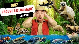 Miniature : 🔥🐒Sauras tu reconnaître ces 50 animaux ? Plusieurs niveaux de difficulté ! #quiz #culturegenerale