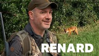 Miniature : CHASSE D’ÉTÉ : balade à la billebaude… et un RENARD au rendez-vous ! 🦊