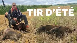 Miniature : TONTON RESSORT L’ARC… et UN SANGLIER débarque ! 🐗