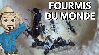 Miniature : IMPOSSIBLE DE FAIRE MIEUX