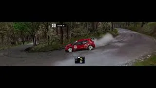 Miniature : Test skoda rally2 RBR