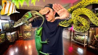 Miniature : CES ANIMAUX QUE JE VOUS AI CACHÉS DANS MA CHAMBRE 🫣 !! -TOOPET 