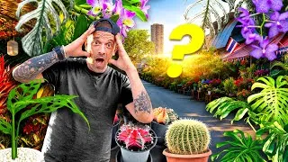 Miniature : LE PLUS GROS MARCHÉ DE PLANTES DU MONDE (les prix sont dingues) - TOOPET