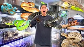 Miniature : JE VOUS MONTRE TOUS MES ANIMAUX ! ( partie 2 ma pièce d’élevage ) - TOOPET 