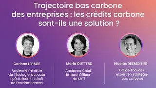 Miniature : Trajectoire bas carbone des entreprises : les crédits carbone sont-ils une solution ?