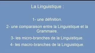 Miniature : Définition de la linguistique