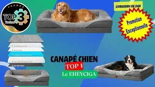 Miniature : Meilleur Panier Orthopédique Chien XL ? 🐶 EHEYCIGA Test Complet & Avis !