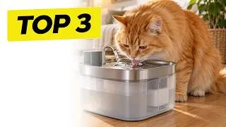 Miniature : TOP 3 : Meilleure FONTAINE à EAU pour CHAT 2026