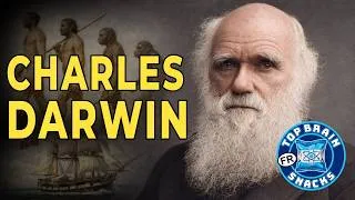 Miniature : Darwin sur le HMS Beagle et la Naissance de l’Évolution