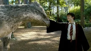 Miniature : 7 RÉFÉRENCES HISTORIQUES CACHÉES dans HARRY POTTER
