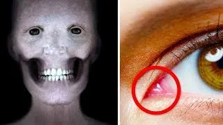 Miniature : 4 Secrets INCROYABLES sur le CORPS HUMAIN ! 👤