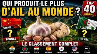 Miniature : 🚀🇩🇿L’Algérie parmi les 5 plus grands producteurs d’ail au monde ! Top 40 mondial