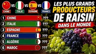 Miniature : 🇩🇿 Un Pays Arabe Crée la Surprise ! Le Classement Mondial du Raisin 2025🍇