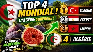 Miniature : Qui produit le plus des figues au monde! TOP 30 des pays