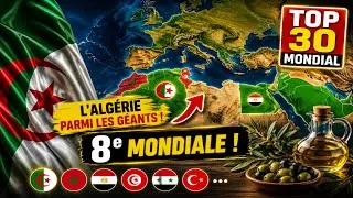 Miniature : L'Algérie surprend le monde 🇩🇿😍 classement des plus grands producteurs d'olives en 2026 