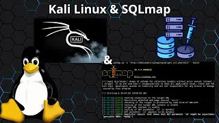 Miniature : Cracker une Base de Données avec SQLMap sur Kali Linux