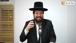 Miniature : L’UNITÉ FACE À LA SÉPARATION | Rabbi Méïr Elkoubi