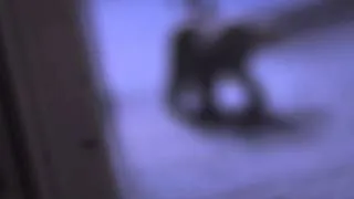 Miniature : the dead house