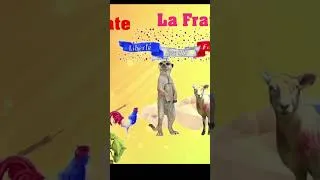 Miniature : LE COQ LE MOUTON ET LE SURICATE