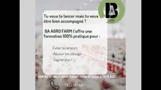 Miniature : BA-Agrofarm Votre partenaire Avicole à vie