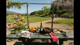 Miniature : Gîte Mendipea, du tourisme pour tous !